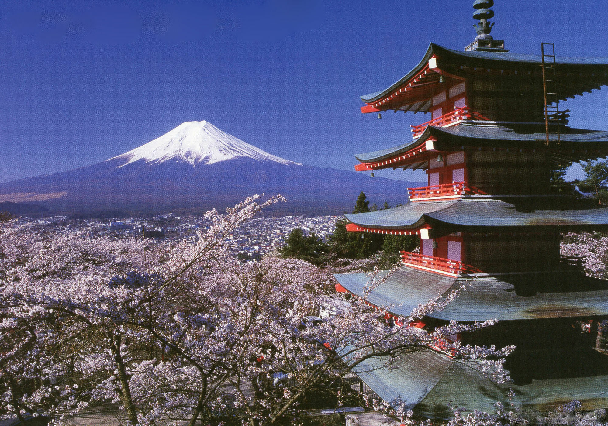 Mt Fuji Hostel Michael'S Fujiyoshida Εξωτερικό φωτογραφία